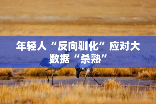 年轻人“反向驯化”应对大数据“杀熟”