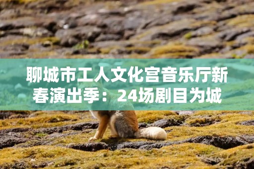 聊城市工人文化宫音乐厅新春演出季：24场剧目为城市文化添彩