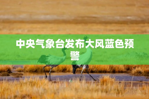 中央气象台发布大风蓝色预警