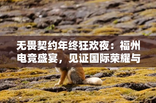 无畏契约年终狂欢夜：福州电竞盛宴，见证国际荣耀与全民狂欢