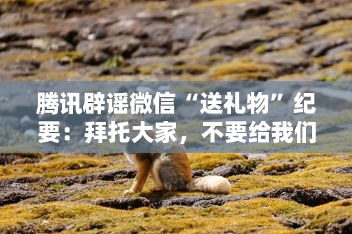 腾讯辟谣微信“送礼物”纪要：拜托大家，不要给我们定商业计划了