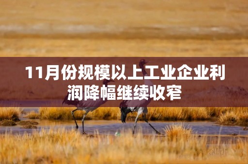 11月份规模以上工业企业利润降幅继续收窄
