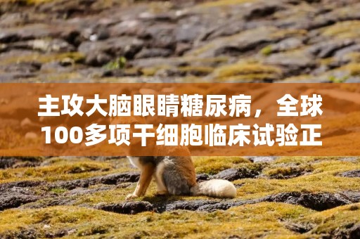 主攻大脑眼睛糖尿病，全球100多项干细胞临床试验正在进行