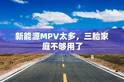 新能源MPV太多，三胎家庭不够用了