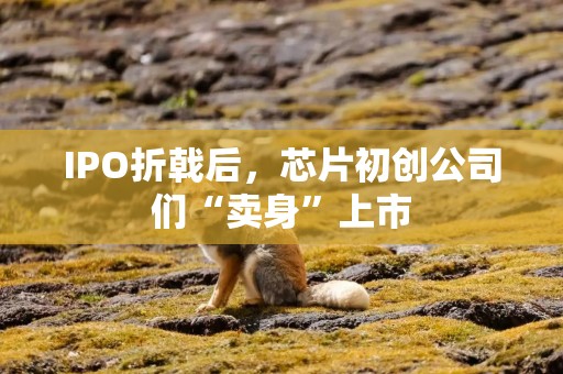 IPO折戟后，芯片初创公司们“卖身”上市