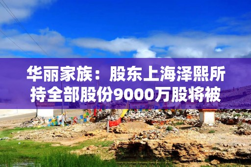 华丽家族：股东上海泽熙所持全部股份9000万股将被司法拍卖