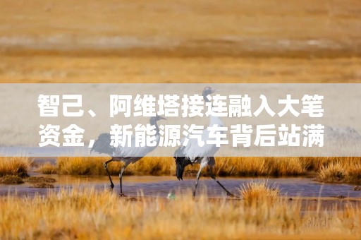 智己、阿维塔接连融入大笔资金，新能源汽车背后站满国资投资人