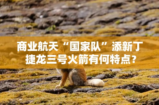 商业航天“国家队”添新丁 捷龙三号火箭有何特点？