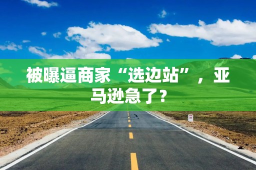 被曝逼商家“选边站”，亚马逊急了？