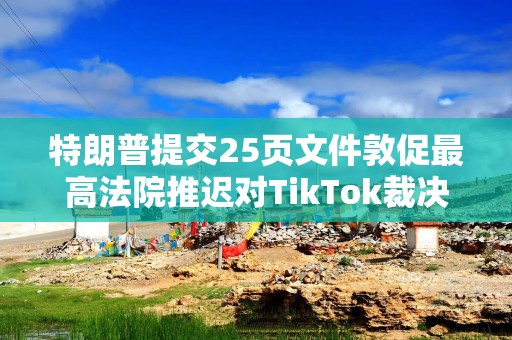 特朗普提交25页文件敦促最高法院推迟对TikTok裁决，直至就任后谈判