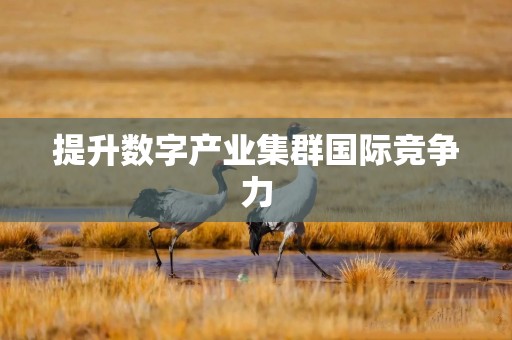 提升数字产业集群国际竞争力