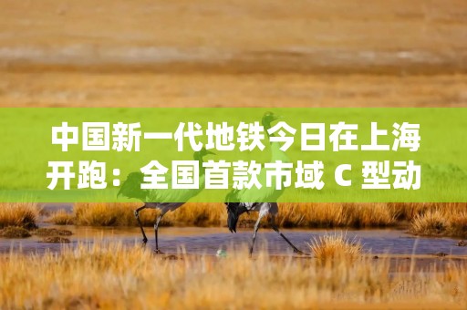 中国新一代地铁今日在上海开跑：全国首款市域 C 型动车组列车