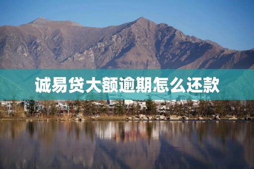 诚易贷大额逾期怎么还款