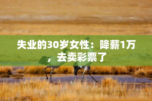 失业的30岁女性：降薪1万，去卖彩票了