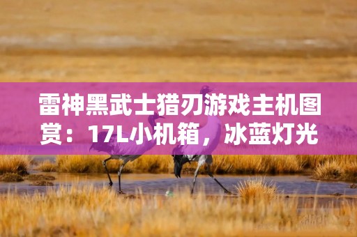 雷神黑武士猎刃游戏主机图赏：17L小机箱，冰蓝灯光 + 电竞风设计