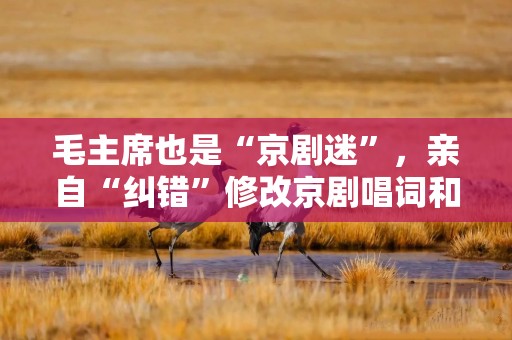 毛主席也是“京剧迷”，亲自“纠错”修改京剧唱词和服饰