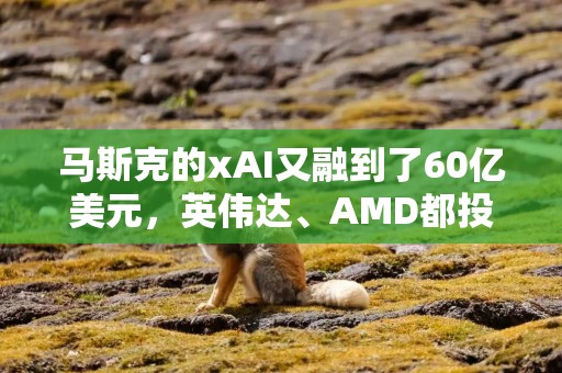 马斯克的xAI又融到了60亿美元，英伟达、AMD都投了