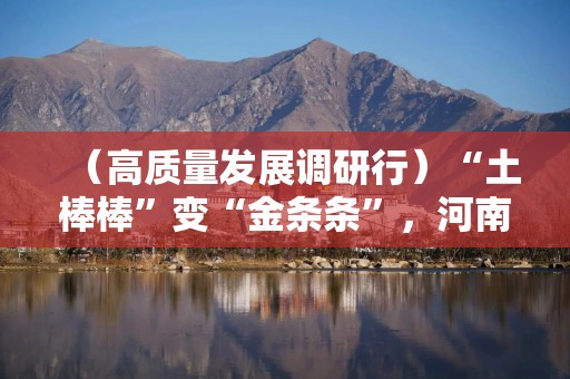 （高质量发展调研行）“土棒棒”变“金条条”，河南小山药有何魔力？
