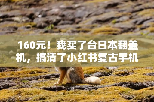 160元！我买了台日本翻盖机，搞清了小红书复古手机爆红的真相