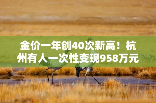 金价一年创40次新高！杭州有人一次性变现958万元，有人扛不住了……