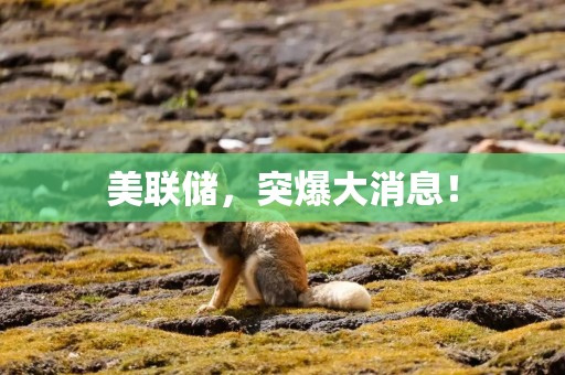 美联储，突爆大消息！