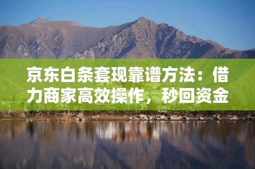 京东白条套现靠谱方法：借力商家高效操作，秒回资金轻松实现