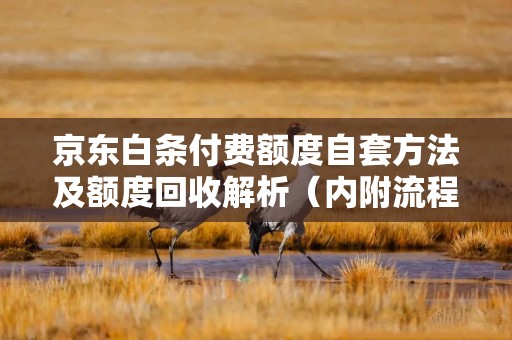 京东白条付费额度自套方法及额度回收解析（内附流程及风险提示）