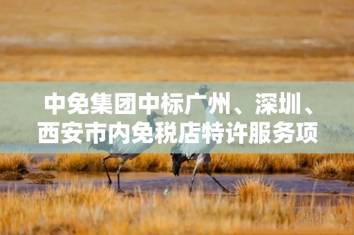 中免集团中标广州、深圳、西安市内免税店特许服务项目