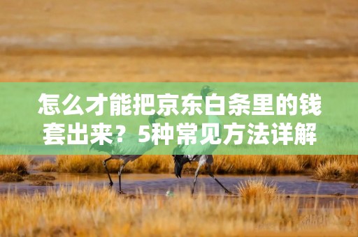怎么才能把京东白条里的钱套出来？5种常见方法详解