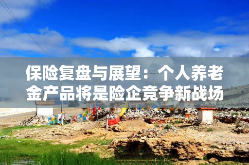 保险复盘与展望：个人养老金产品将是险企竞争新战场，新能源车险新年目标是盈利｜2024·大复盘