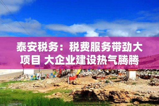 泰安税务：税费服务带劲大项目 大企业建设热气腾腾