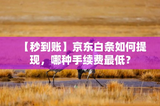 【秒到账】京东白条如何提现，哪种手续费最低？