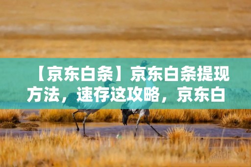 【京东白条】京东白条提现方法，速存这攻略，京东白条金条可以申请延期还款吗