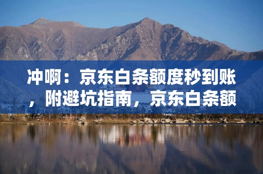 冲啊：京东白条额度秒到账，附避坑指南，京东白条额度高吗?