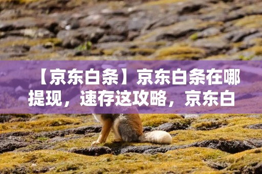 【京东白条】京东白条在哪提现，速存这攻略，京东白条协商最佳方法