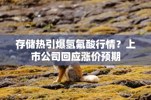 存储热引爆氢氟酸行情？上市公司回应涨价预期