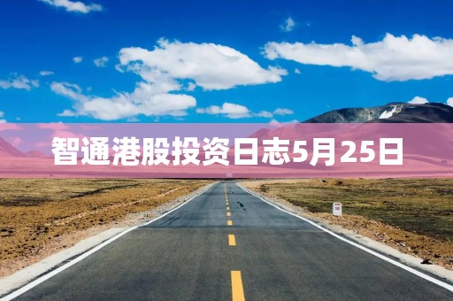 智通港股投资日志5月25日