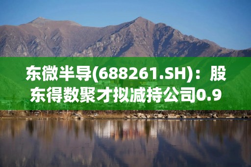 东微半导(688261.SH)：股东得数聚才拟减持公司0.92%股份