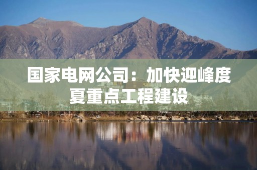 国家电网公司：加快迎峰度夏重点工程建设