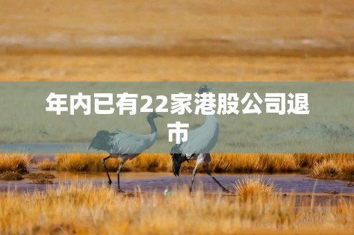 年内已有22家港股公司退市