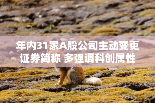 年内31家A股公司主动变更证券简称 多强调科创属性