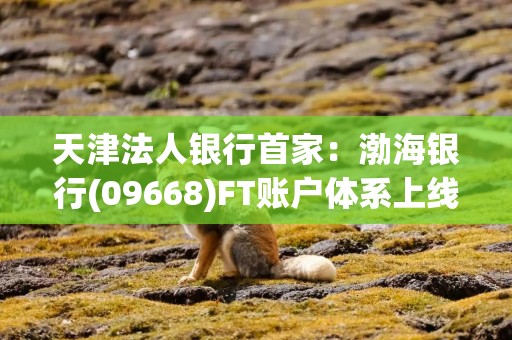 天津法人银行首家：渤海银行(09668)FT账户体系上线 助力跨境金融创新