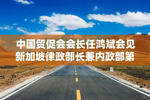 中国贸促会会长任鸿斌会见新加坡律政部长兼内政部第二部长唐振辉一行