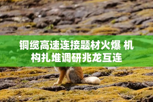 铜缆高速连接题材火爆 机构扎堆调研兆龙互连