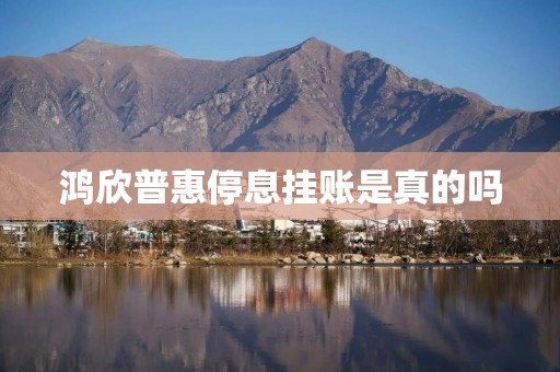 鸿欣普惠停息挂账是真的吗