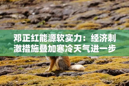 邓正红能源软实力：经济刺激措施叠加寒冷天气进一步提振对石油需求增加的预期