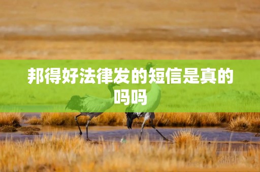 邦得好法律发的短信是真的吗吗