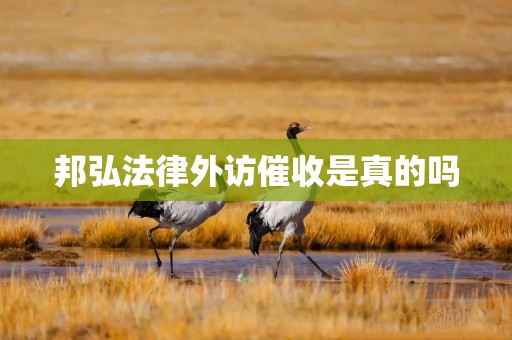 邦弘法律外访催收是真的吗