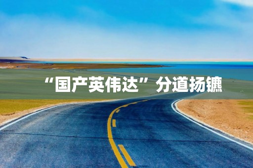 “国产英伟达”分道扬镳