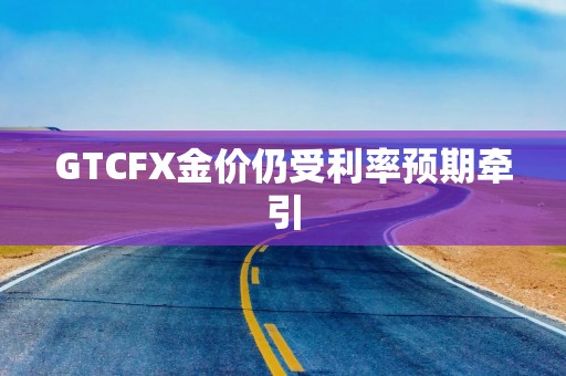 GTCFX金价仍受利率预期牵引